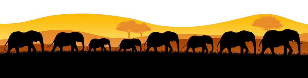 Zambia skyline elephants